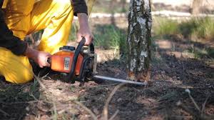 Best Lawn Irrigation Installation and Maintenance  in Spencerport, NY