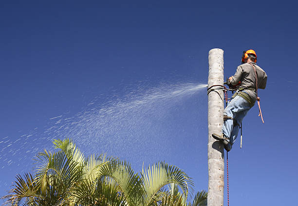 Soil Testing and Treatment in Spencerport, NY